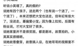 社会热点插画 2025社会热点话题 网红小英被曝大瓜,2025年社会热点话题大揭秘
